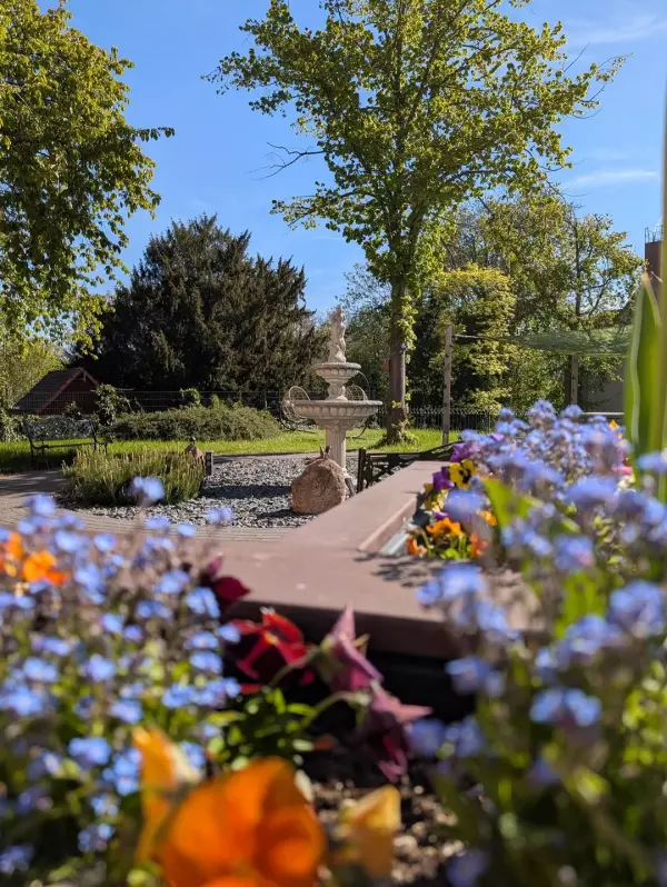 Frühlingserwachen in der Villa Freiraum und unserer Tagespflege in Riesa 💜 ...